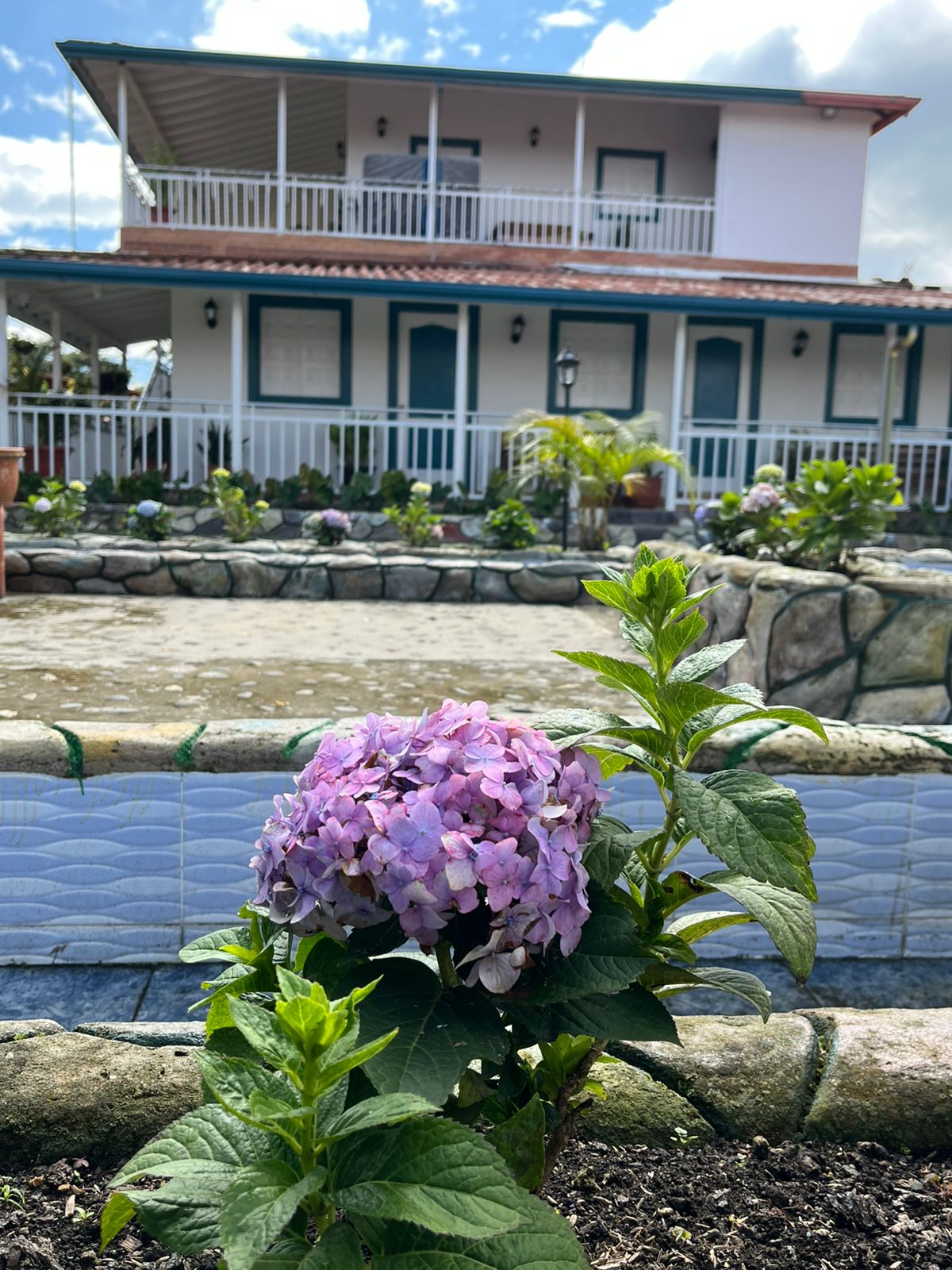 Parte Trasera del Hotel